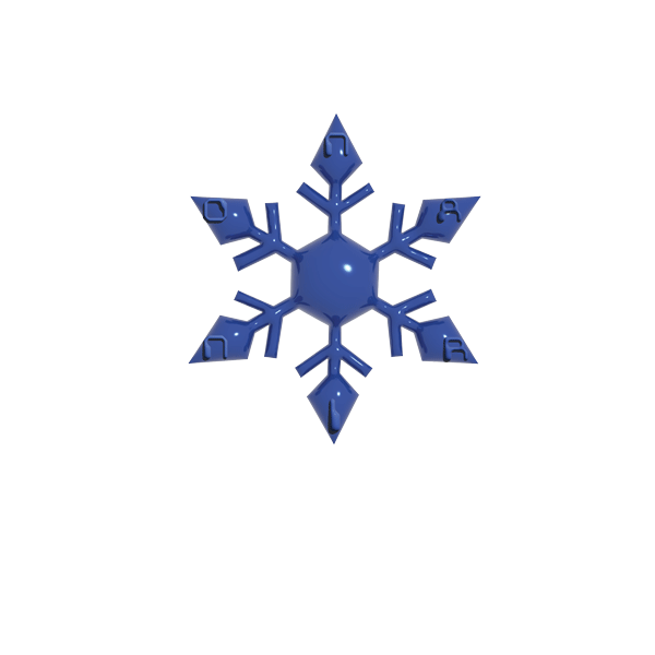 snowflake logo for nariiino
